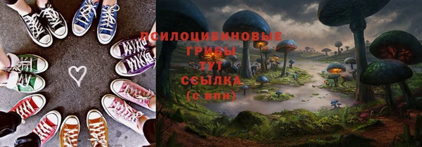ALPHA PVP Няндома