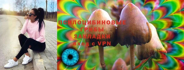 прущая мука Осташков