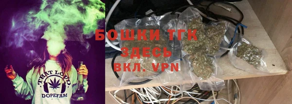 ALPHA PVP Няндома